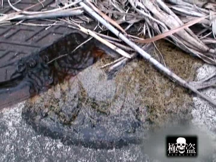 サンプル画像 7