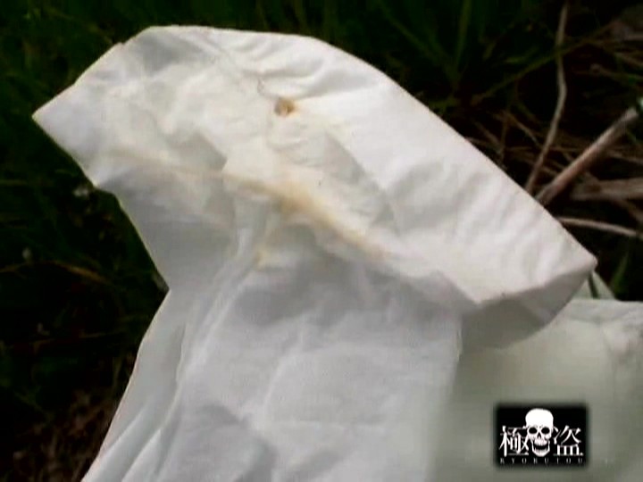 サンプル画像 9