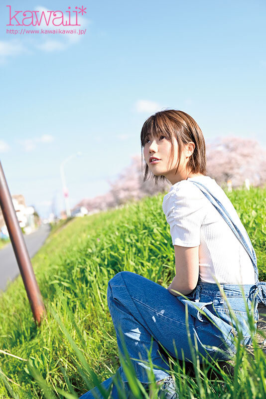 サンプル画像 4