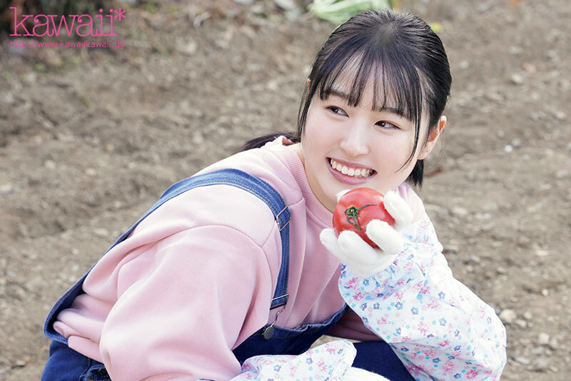 サンプル画像 4