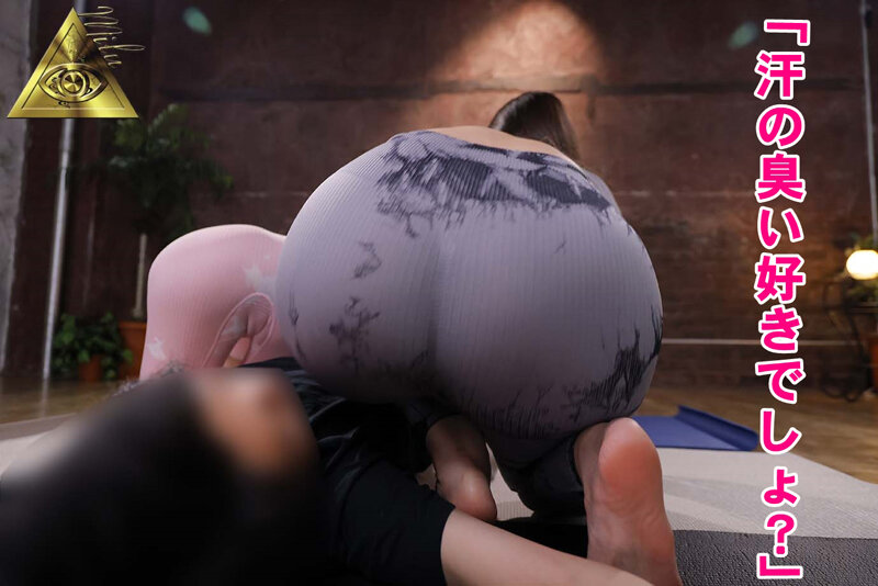 サンプル画像 11