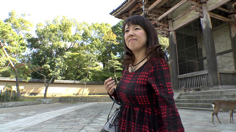 サンプル画像 16