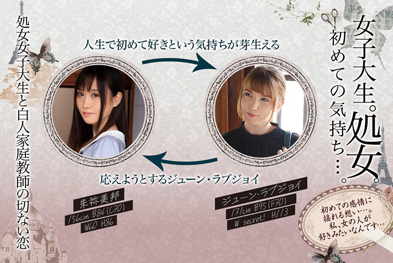 サンプル画像 11