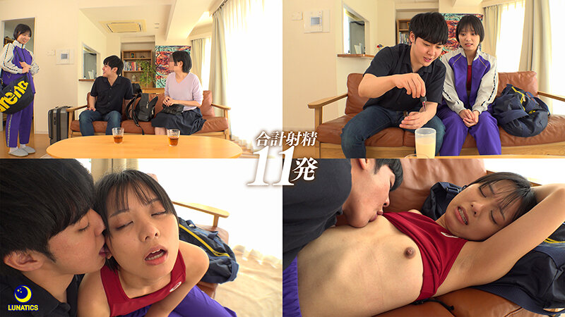 サンプル画像 2