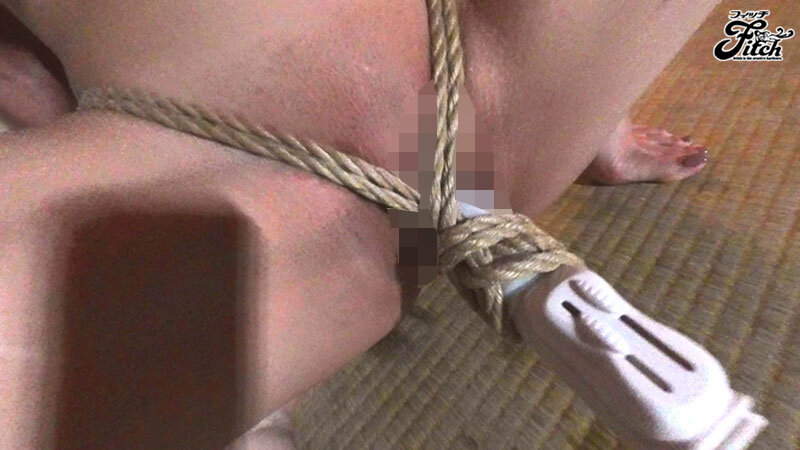 サンプル画像 13