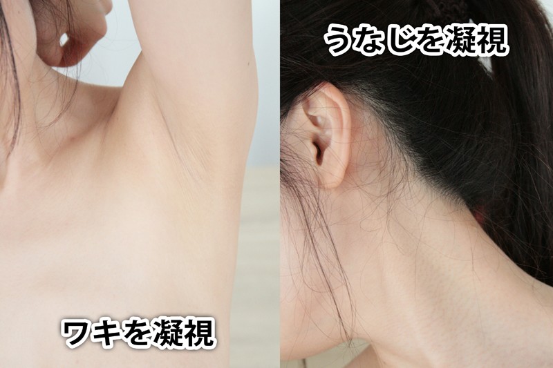 サンプル画像 11