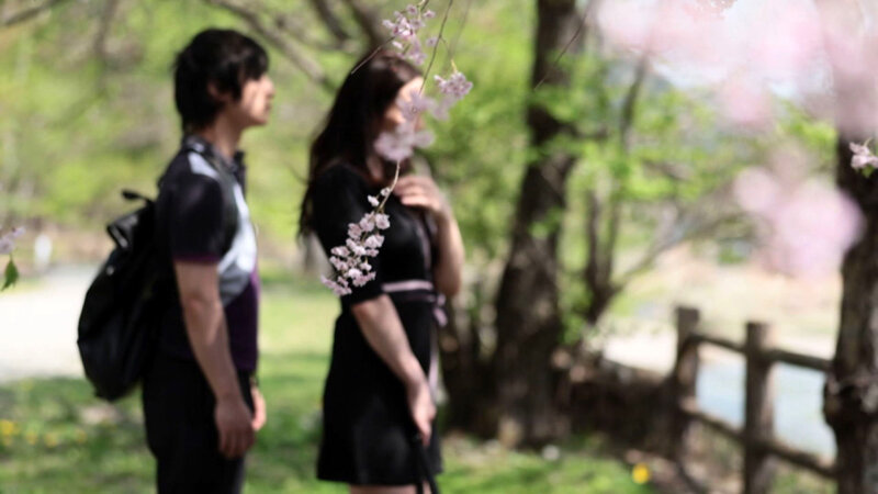 サンプル画像 11