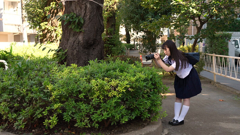 サンプル画像 2