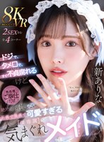 パッケージ画像