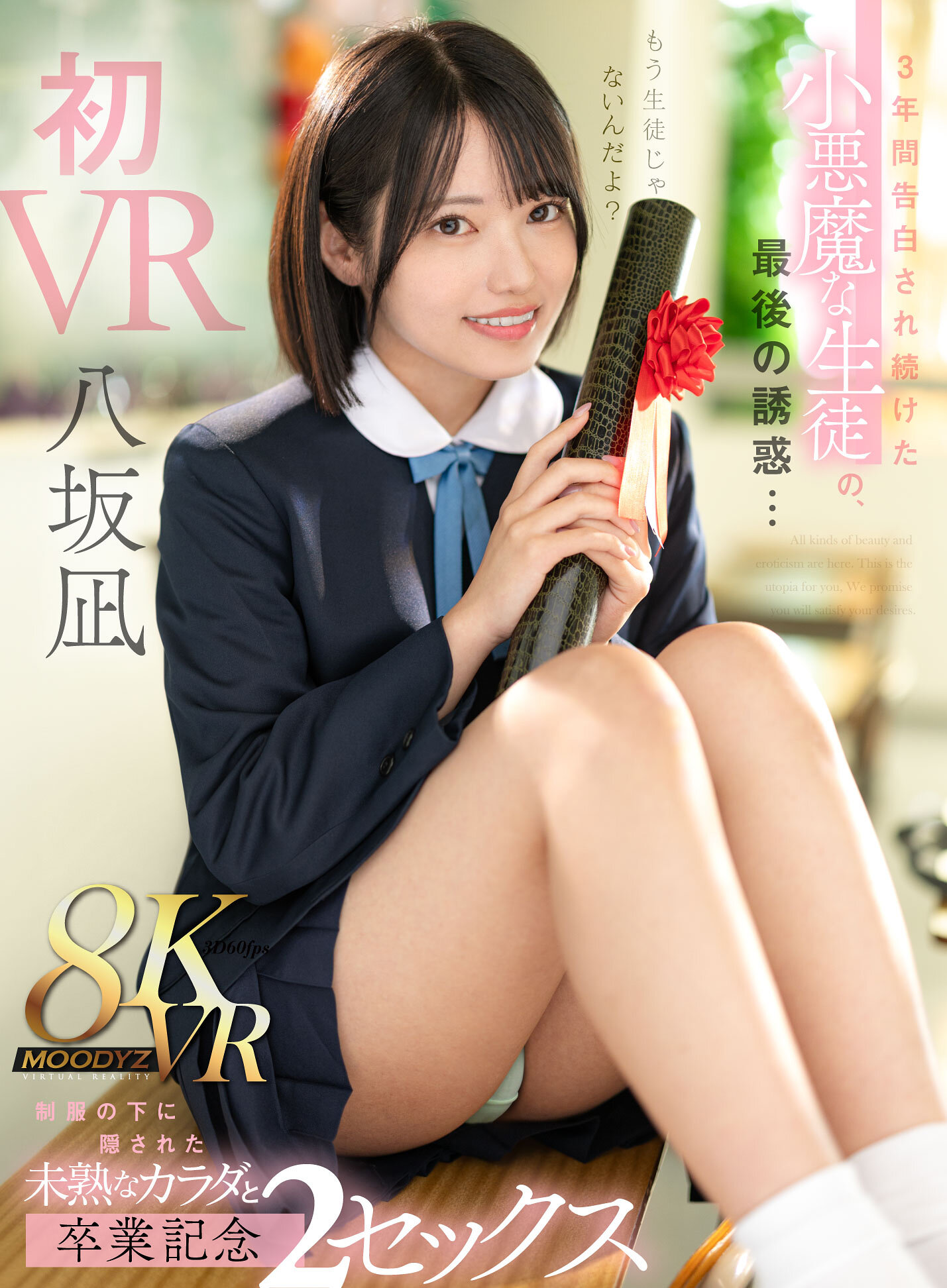 パッケージ画像