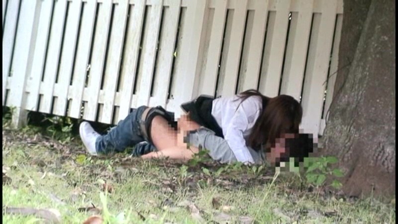 サンプル画像 17