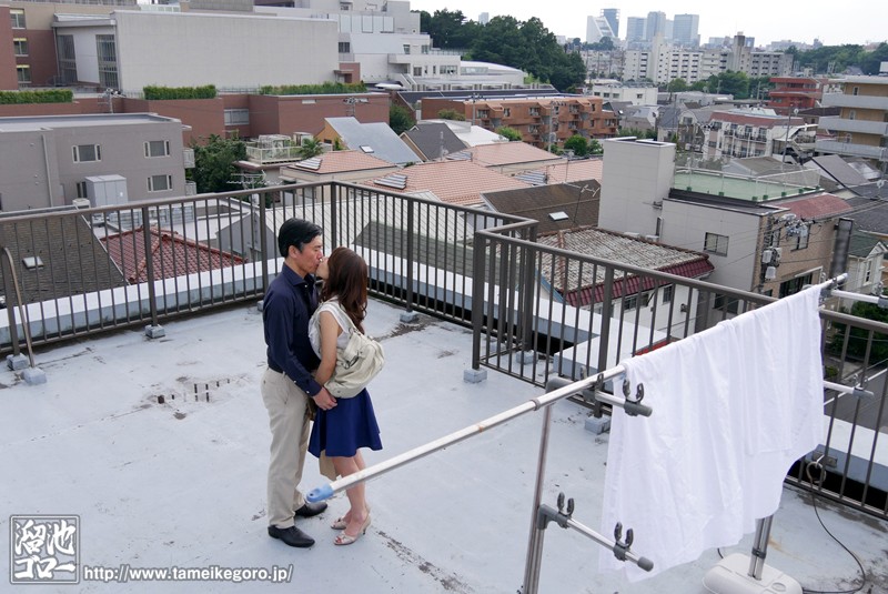 サンプル画像 8