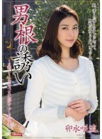 パッケージ画像