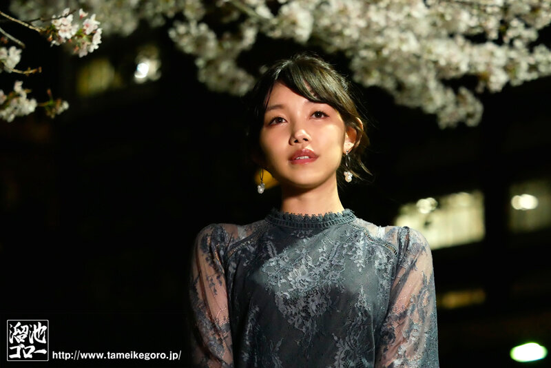 サンプル画像 13