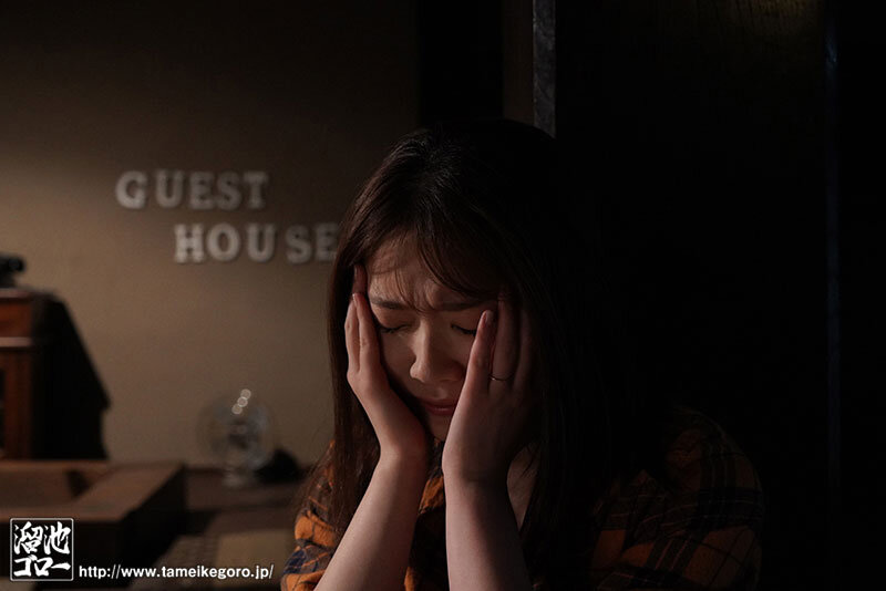 サンプル画像 13