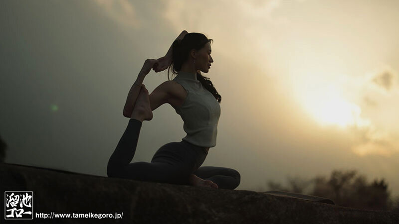 サンプル画像 13