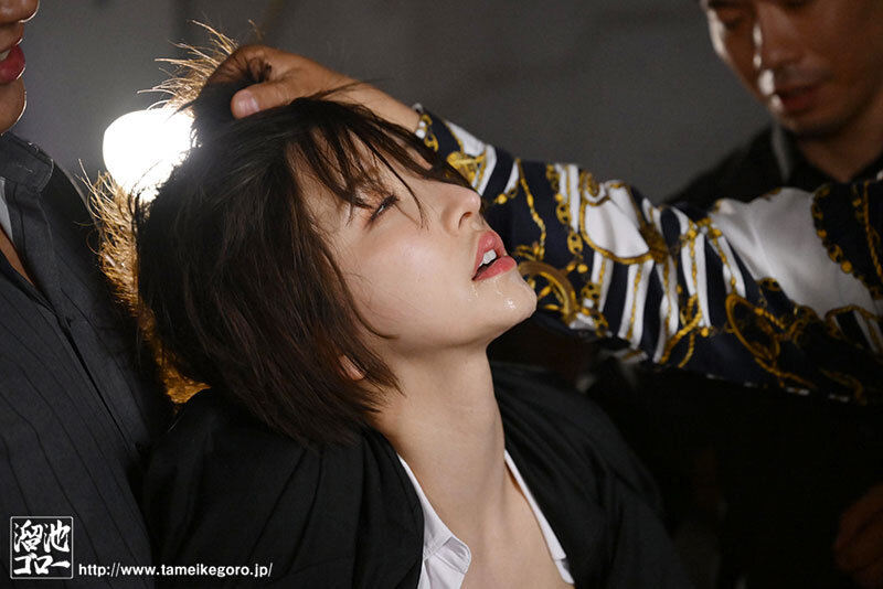 サンプル画像 8