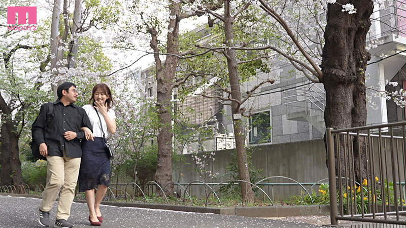 サンプル画像 11