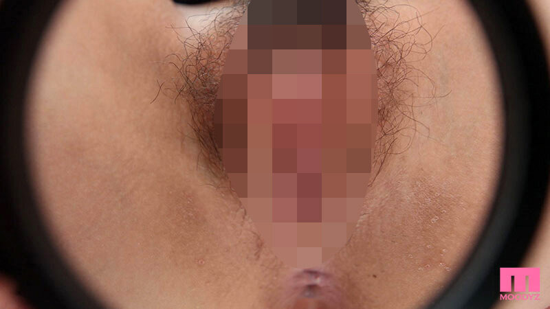 サンプル画像 11