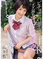 パッケージ画像