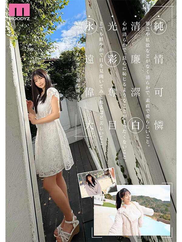 サンプル画像 5