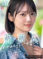 パッケージ画像
