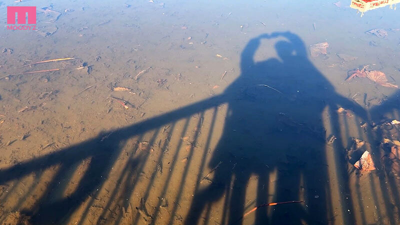 サンプル画像 11