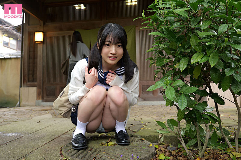 サンプル画像 12