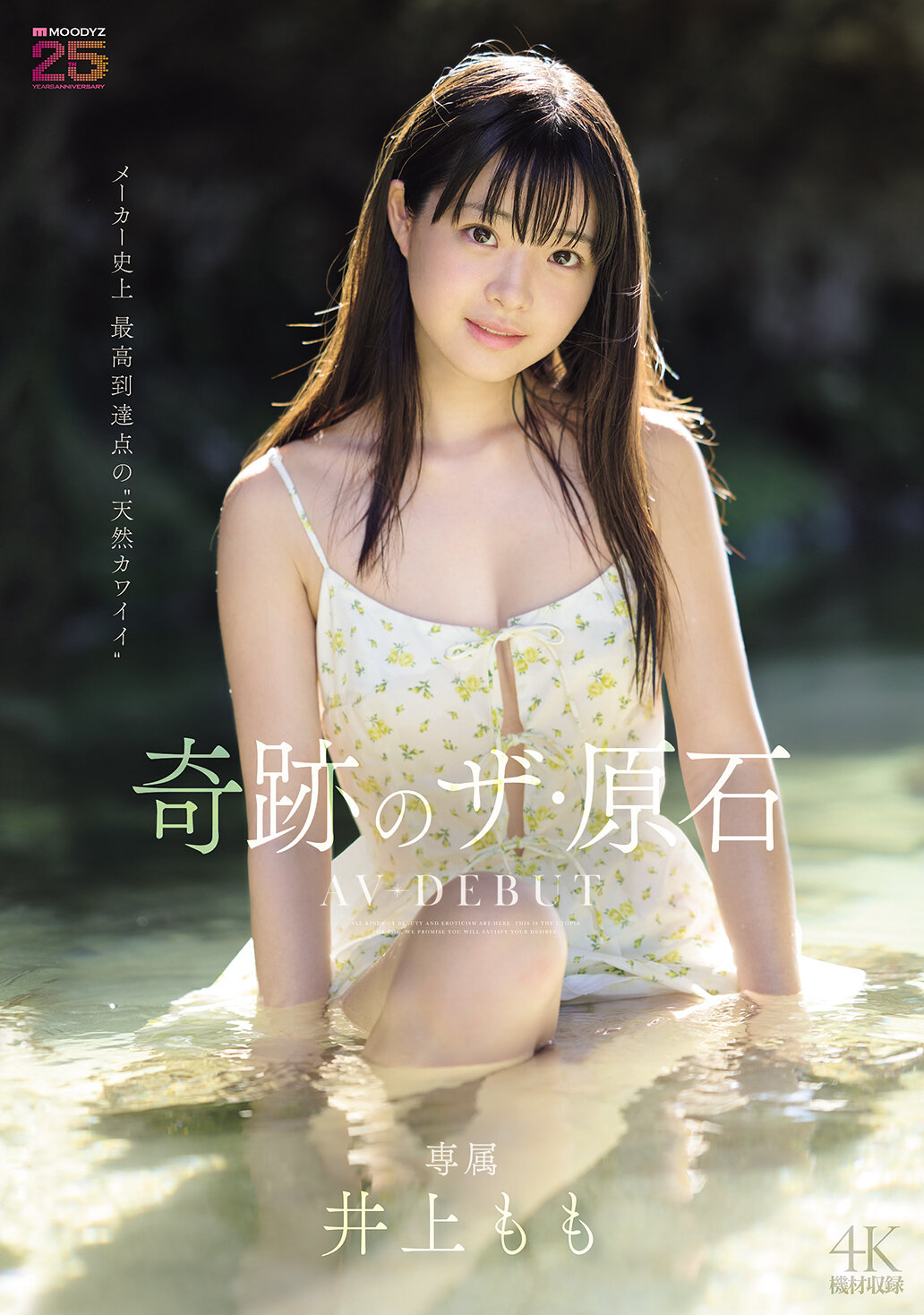 パッケージ画像