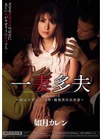 パッケージ画像