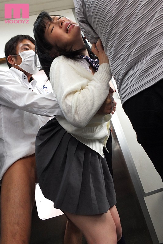 サンプル画像 9