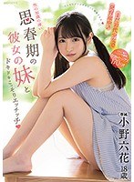 パッケージ画像