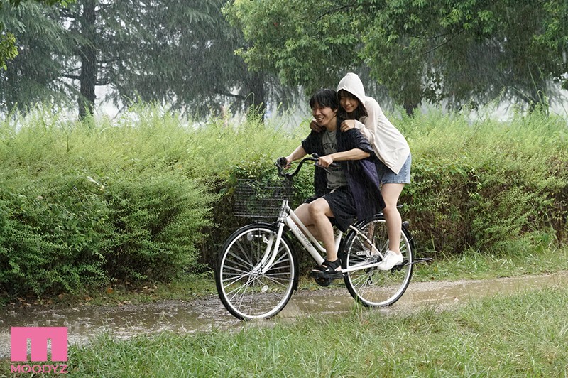 サンプル画像 2