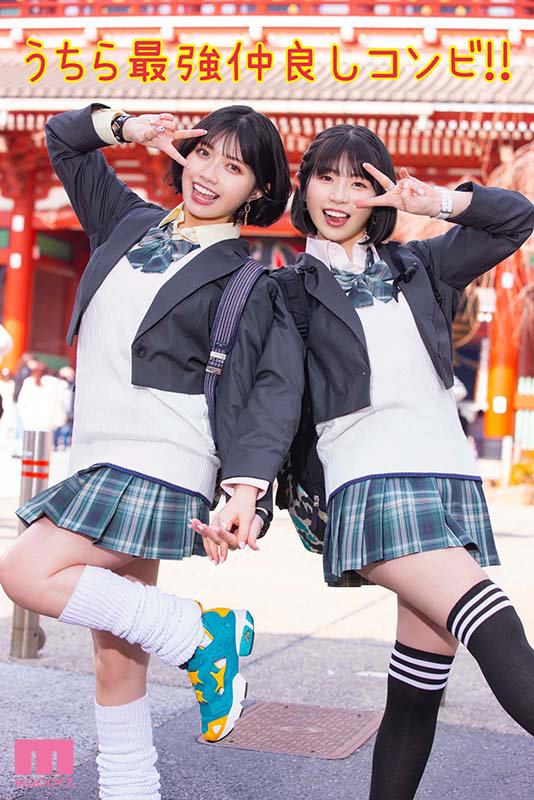 サンプル画像 2