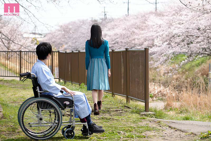 サンプル画像 11