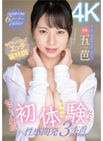 パッケージ画像