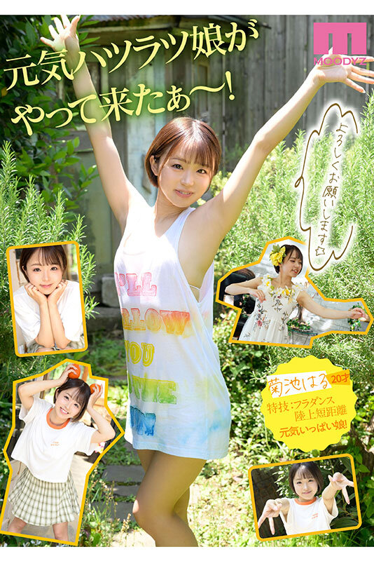 サンプル画像 9