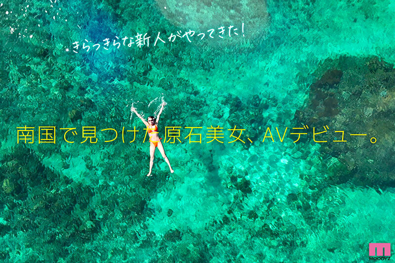 サンプル画像 3