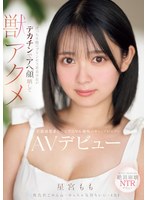 パッケージ画像