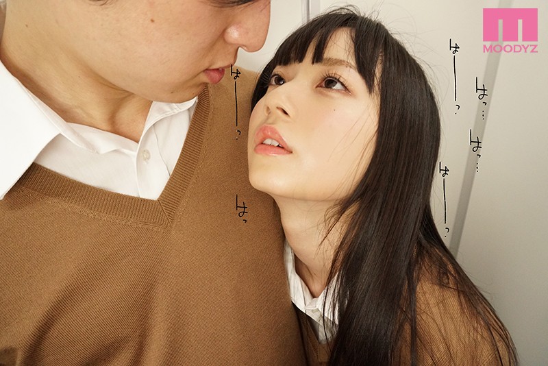 サンプル画像 5