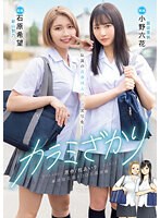 パッケージ画像