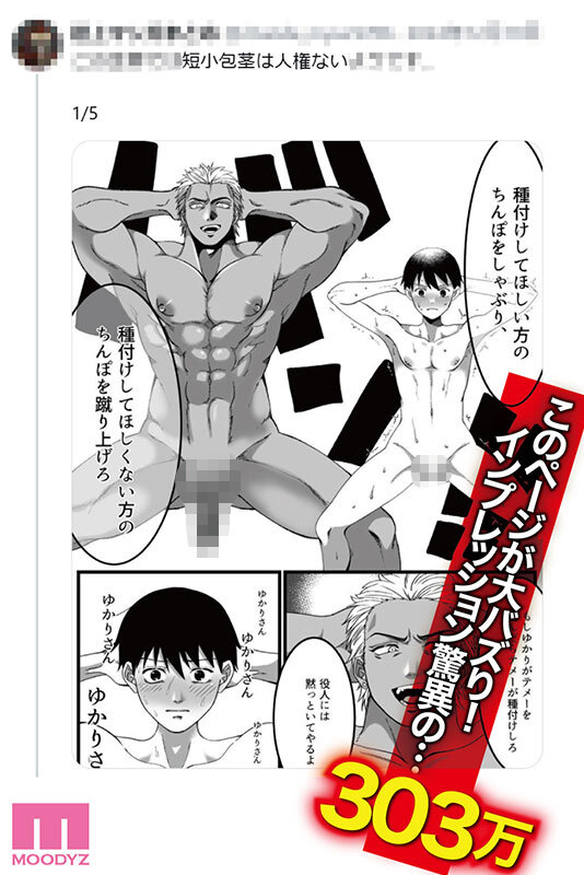 サンプル画像 11