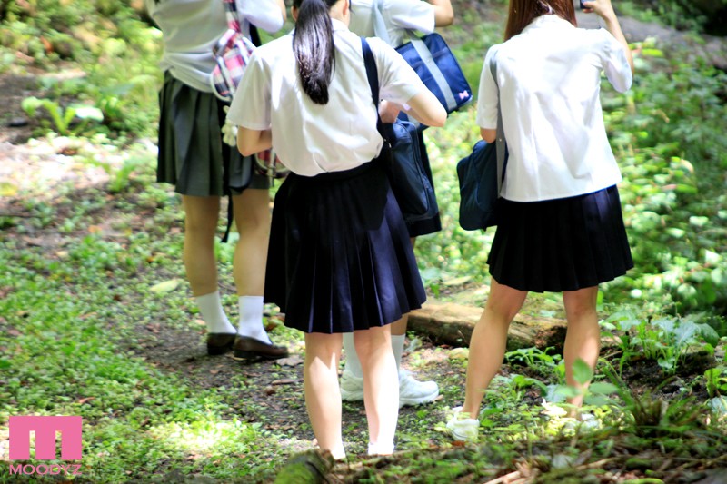 サンプル画像 4