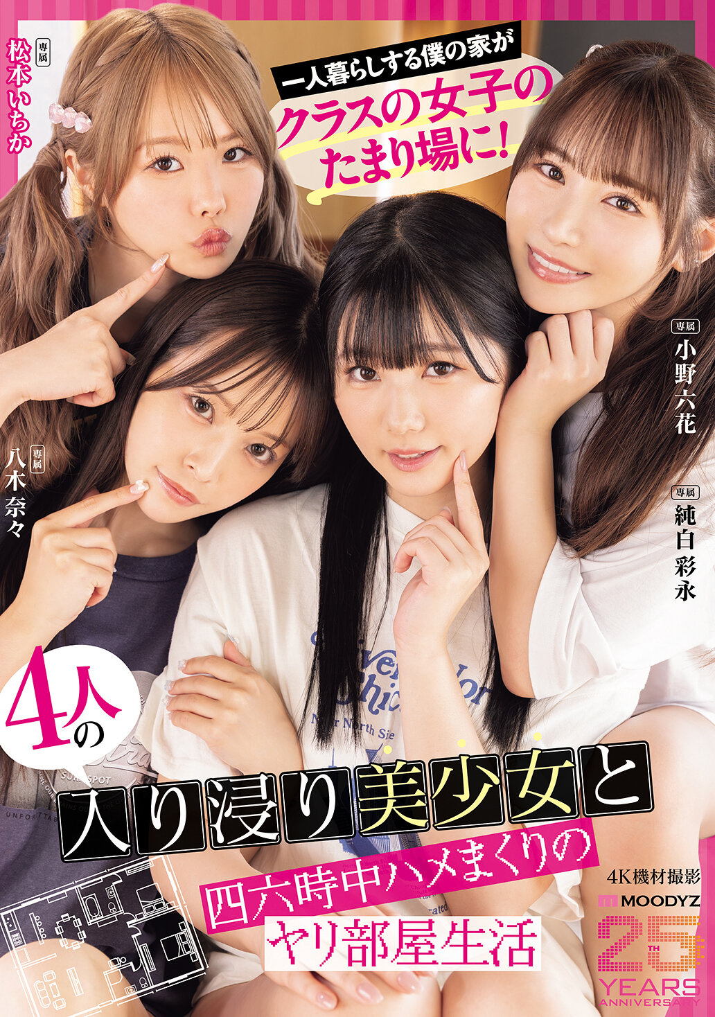 パッケージ画像