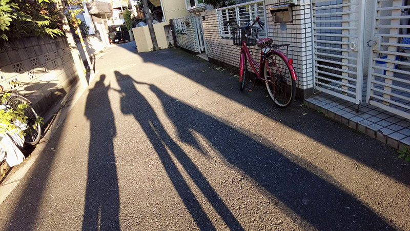 サンプル画像 13