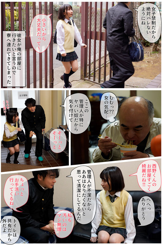 サンプル画像 2