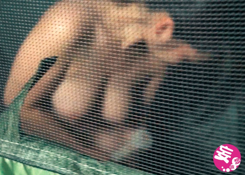 サンプル画像 3