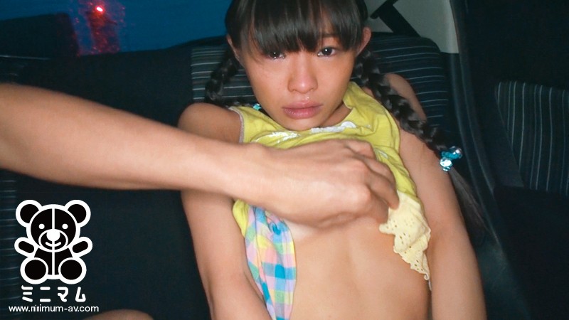 サンプル画像 8