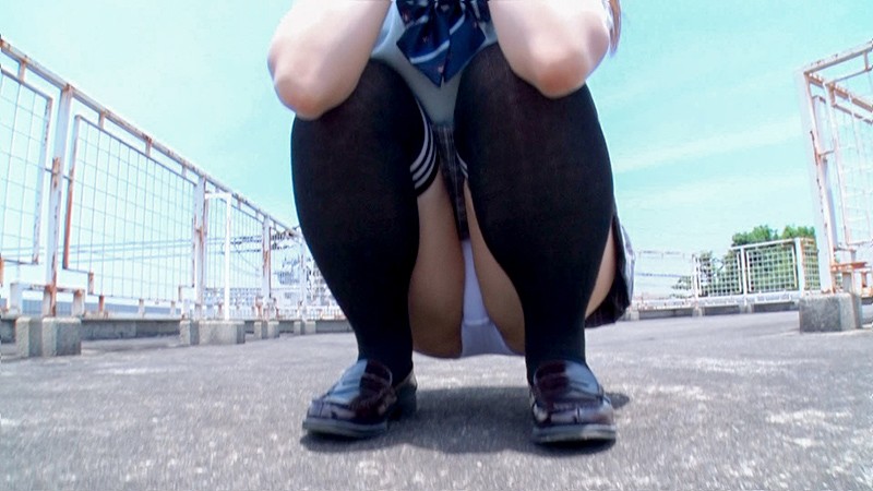 サンプル画像 8