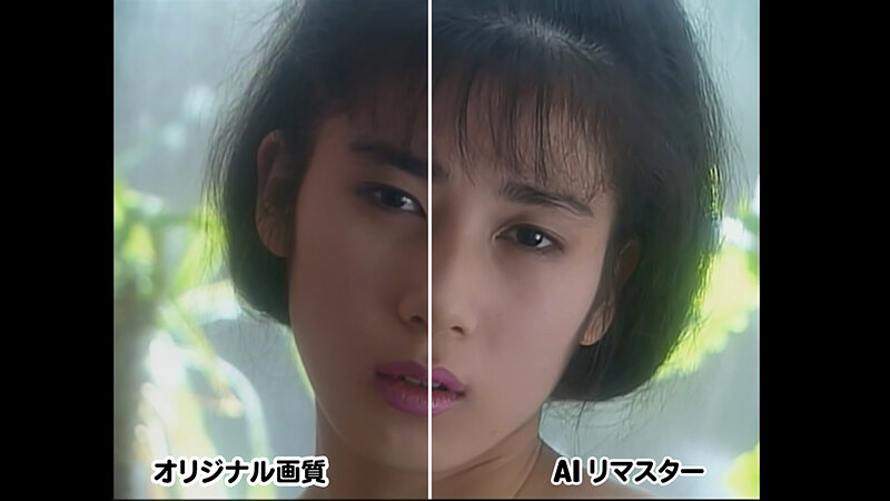 サンプル画像 2